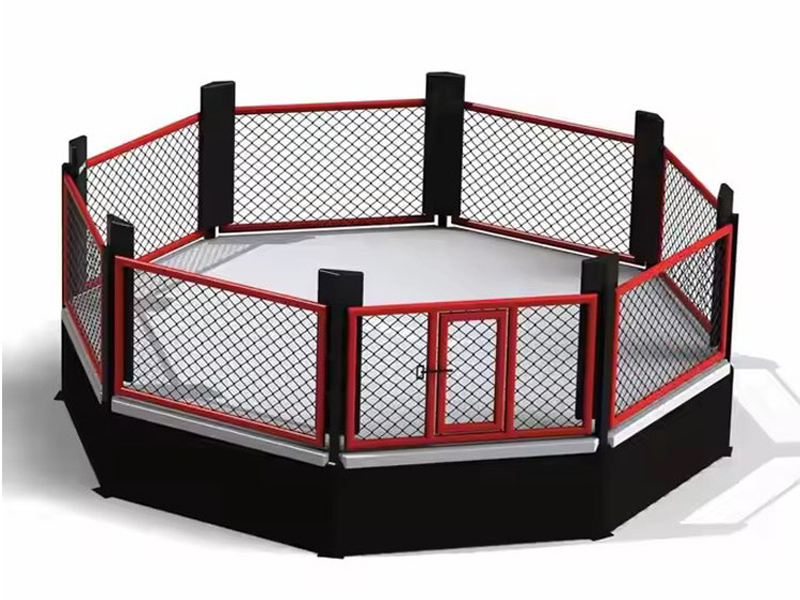 Co właściwie kryje się w oktagonie MMA?